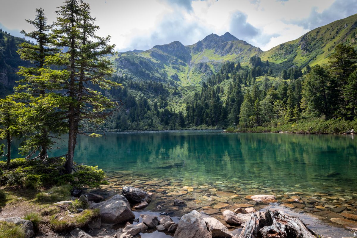 Jazero Scheibel See, Nízke Taury
